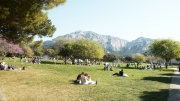 Campagne Pastr�