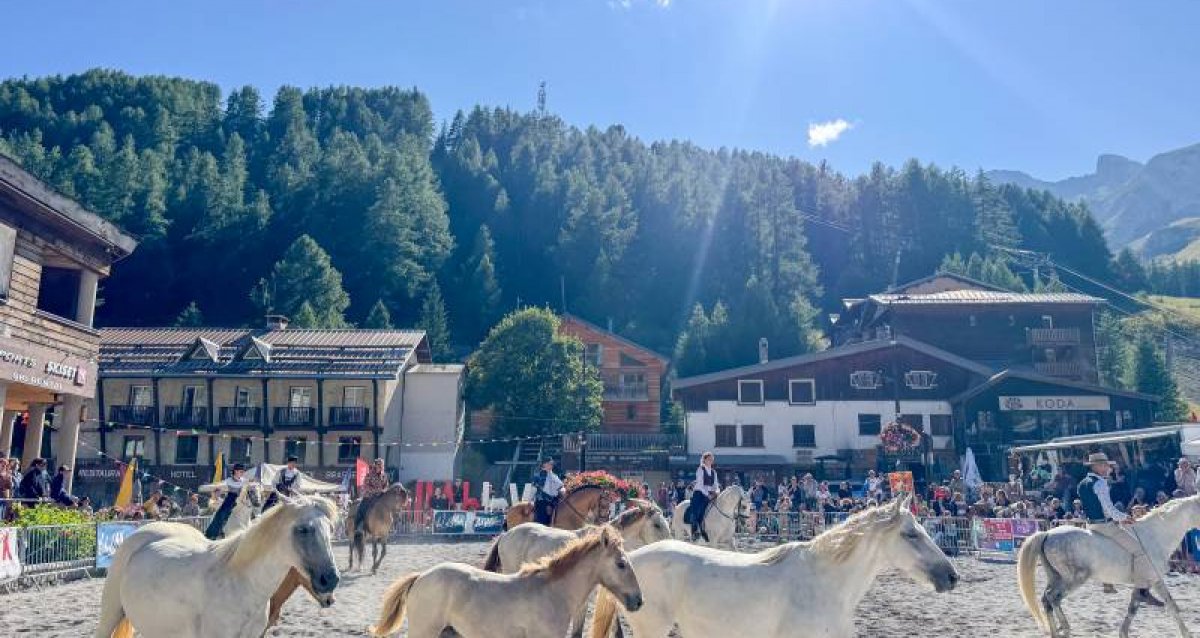 25ème fête du cheval à Allos