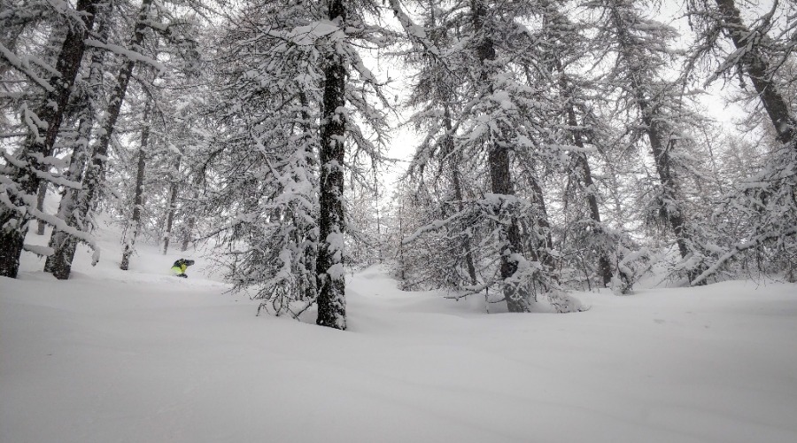 alpes du sud neige