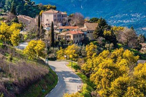 Afficher limage dorigine