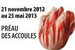 Un peu, beaucoup, passionn�ment