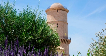 Marchés, ateliers, visites, animations... Découvrez le programme de la Fête des Plantes au Mucem ce weekend !