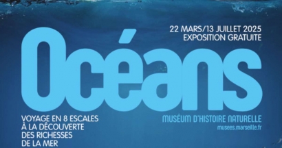Océans, l'expo du moment à découvrir au Muséum d'histoire naturelle de Marseille 