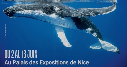 Avec La Baleine, Nice propose une exposition inédite pour plonger au coeur des océans