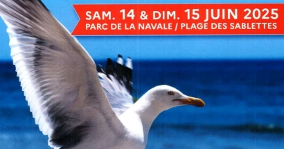Fête de la mer et des littoraux : cap sur trois jours d'animations du 13 au 15 juin à La Seyne