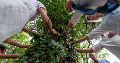 La Nuit des Forêts 2025 : 22 événements immersifs dans toute la région pour se rapprocher de la nature