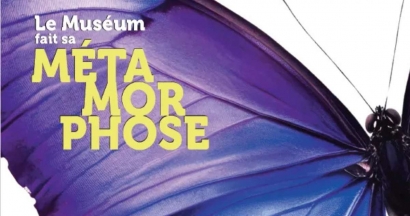 Le Muséum du Var s'éveille à l'imaginaire avant sa grande métamorphose