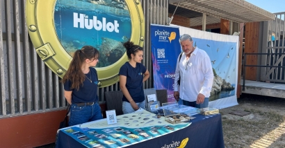 Plongez dans les profondeurs de la Méditerranée avec Le Hublot à Marseille