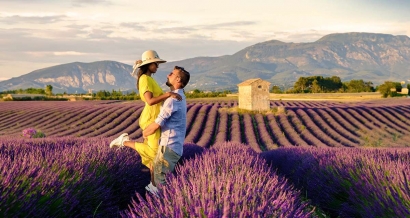 C'est le moment de profiter des champs de lavande: 5 expériences à ne pas manquer sur le plateau de Valensole