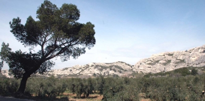 13 massifs fermés au public ce jeudi 3 juillet dans les Bouches du Rhône 