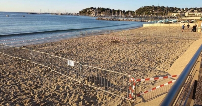 Nouvelle ponte d'une tortue dans le Var, cette fois-ci à Cavalaire