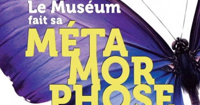 15 jours pour profiter du Muséum départemental du Var avant sa fermeture