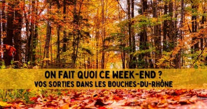Que faire ce week-end dans les Bouches-du-Rhône ? Nos idées de sorties du 31 octobre au 2 novembre !