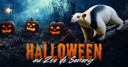 Halloween au ZOA Parc de Sanary... êtes-vous prêts à frissonner (de plaisir) ?