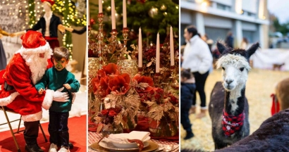 Provence Prestige 2025 : le grand rendez-vous de l'art de vivre en Provence revient à Arles du 20 au 23 novembre