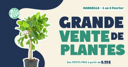 La grande vente de plantes revient rue de la République : trois jours pour transformer ton appart en jungle urbaine