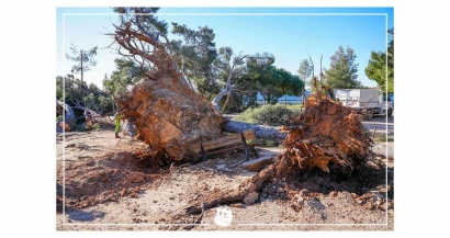 Mistral: Plusieurs événements annulés et des parcs fermés ce weekend