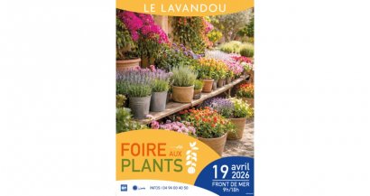 Foire aux plants du Lavandou