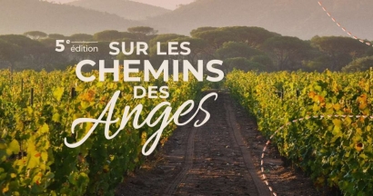 Sur les Chemins des Anges au Cannet-des-Maures : vignes, nature et concert le 13 juin 2026