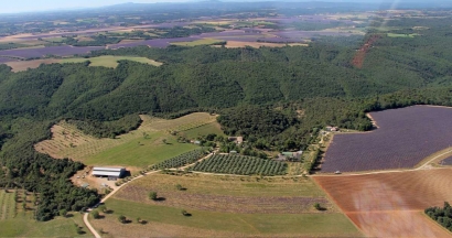 Valensole : visite guidée gratuite du moulin à huile et de la distillerie bio de la ferme Terres de Bonaventure