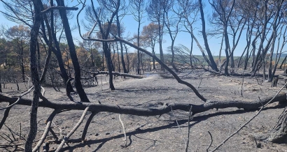 Un seul massif fermé dans le Var ce mercredi 29 juillet