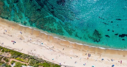 La carte indispensable avant de se baigner : les plages avec ou sans méduses dans le Sud-Est