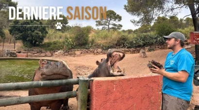Le dernier été du zoo de Fréjus : après 55 ans d'histoire, les portes vont se refermer la semaine prochaine