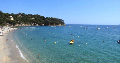 La météo des plages de ce dernier weekend d'août : Les meilleures plages pour se baigner et celles où il y a des méduses