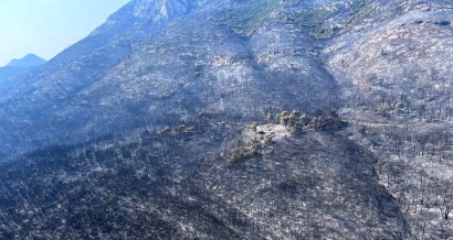 Après les incendies de l'été, le Var cherche des solutions pour mieux protéger sa forêt