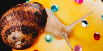 Le Grand Week-end de la Friche : 3 expos, 2 festivals et une nuit électro pour ouvrir l'automne