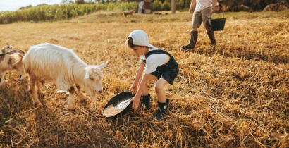 Parcs animaliers et fermes pédagogiques de la région Sud