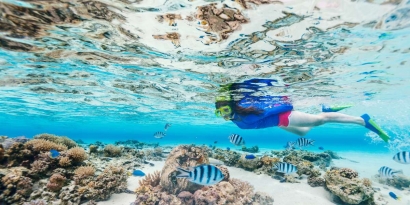 Randonnées snorkeling en Provence