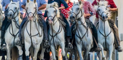 La Camargue en Famille