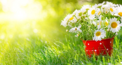 On fête le printemps en région Sud ! Découvrez notre sélection de foires aux plantes et balades botaniques