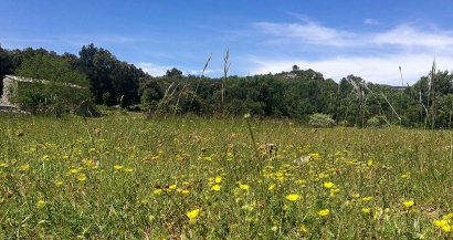 Le plateau de Siou Blanc, du vert à perte de vue