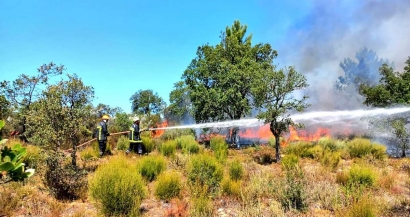 8000ha parcourus, 7100 brûlés par l'incendie des Maures, le feu est fixé 