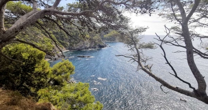 Pinède et baignade au Mont Salva à Six-Fours