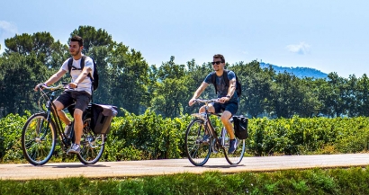 La Vigne à vélo dans le Var