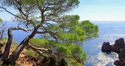 Les plus belles balades à faire dans le Var