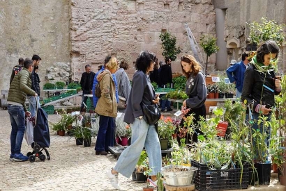 La Fête des Plantes revient ce weekend au Fort Saint-Jean 