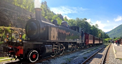 A la découverte des Alpes du Sud à bord du Train des Pignes à vapeur