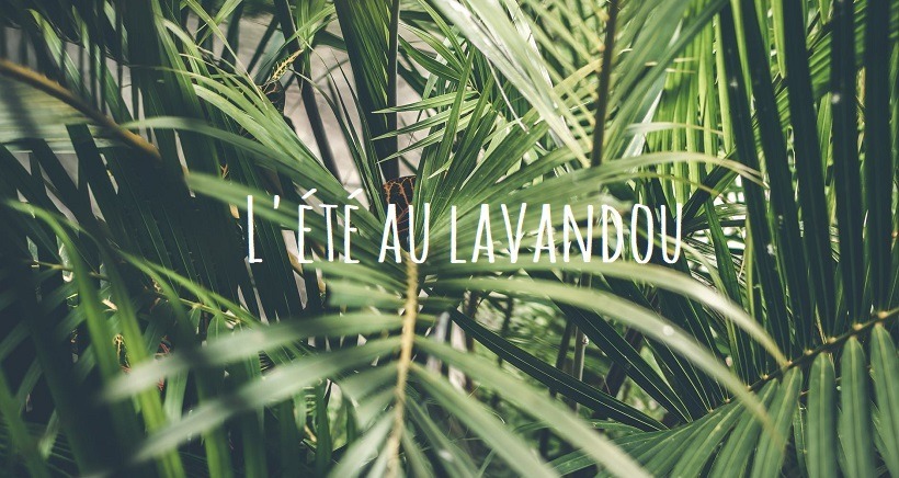 Les festivités de l'été au Lavandou