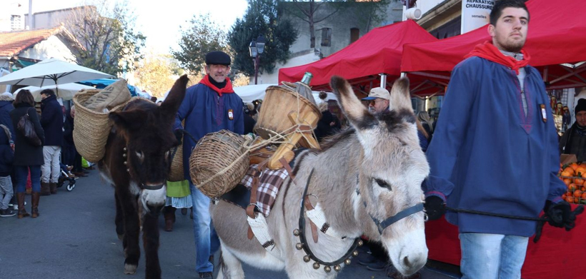 Fête de l'âne