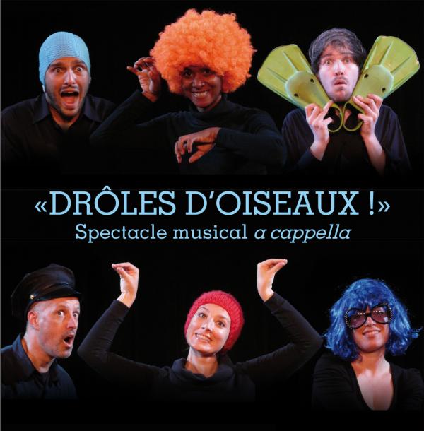 DrÃ´les d'oiseaux