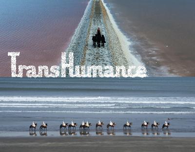 TransHumance 