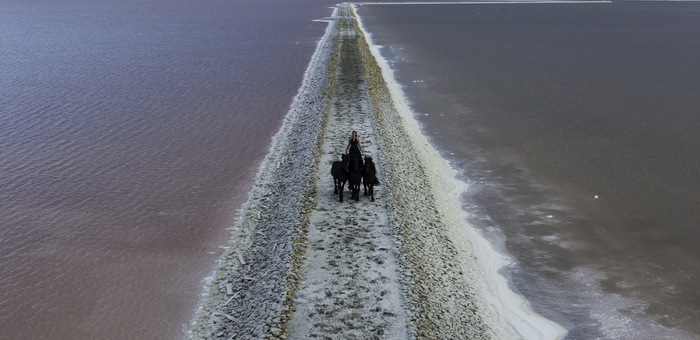 TransHumance Ã  Rognes