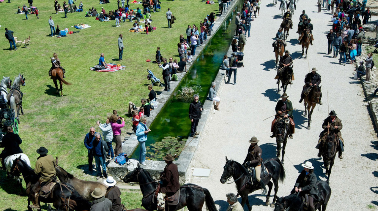 Transhumance Ã  Campagne PastrÃ©