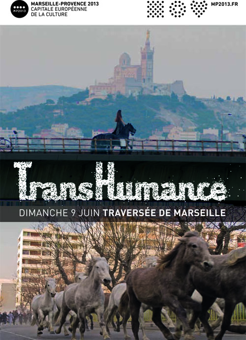 Transhumance : Plus de 3500 animaux dans les rues de Marseille dimanche !