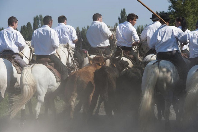 Fête de la libération de Saint-Rémy de Provence