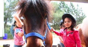 Stage de poney pour les vacances